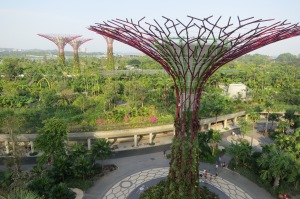 Things to do at Gardens by The Bay_01